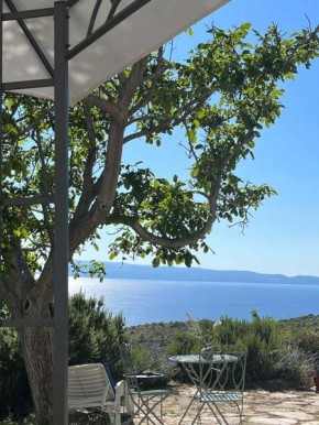 Apartment Room with a view